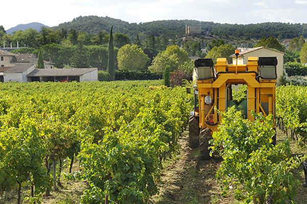 Example Representative of Typical Vineyard Sprayer