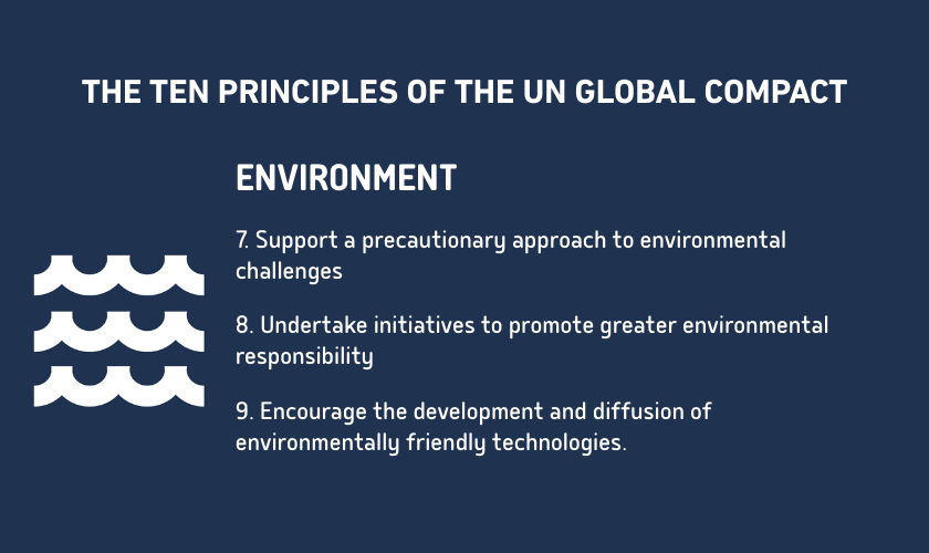 Third principle, preserve the environment